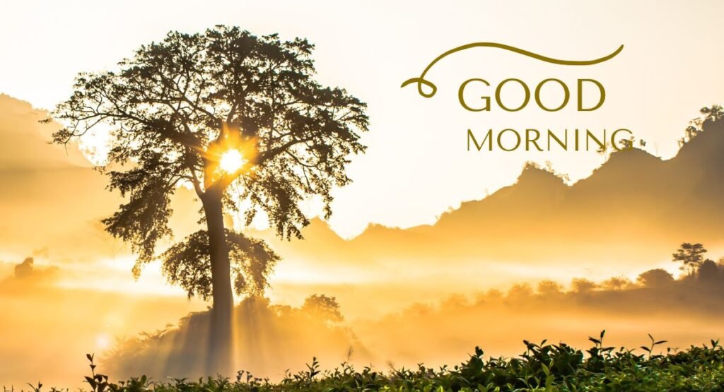 Latest Trends in Good Morning Images